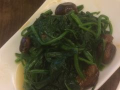 -五观堂素食(新华路店)