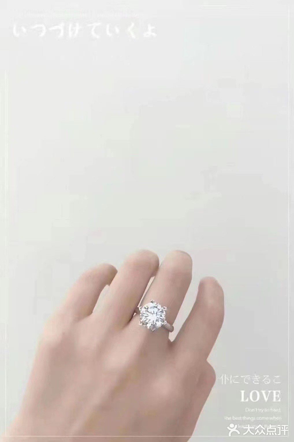 鸽子蛋了解一下