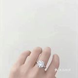 鸽子蛋了解一下