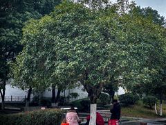 -沙河三洞古桥公园