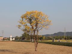 -良渚古城遗址公园