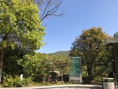 -南京国际会议大酒店