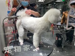 -宠物家(双井店)