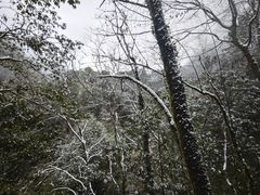 -西岭雪山大飞水景区