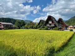 -白川乡与五箇山的合掌构造村落