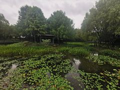-尚贤河湿地