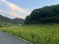 -东钱湖旅游度假区