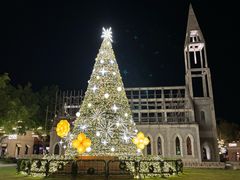 -中旅阿那亚九龙湖·公主酒店