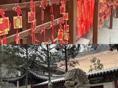 -兴教寺