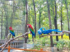 -北京野生动物园