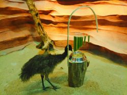 -酷嗒动物文化乐园(cutezoo西溪乐天城店)