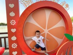 -上海长兴岛郊野公园