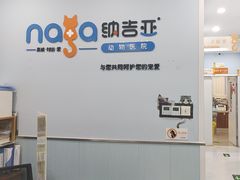 -纳吉亚猫专科动物诊疗中心(蒋宅口分院)