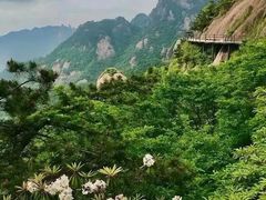 -九华山风景区