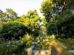 -上海共青森林公园