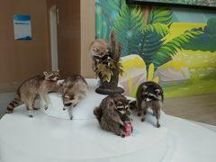 -陕西自然博物馆