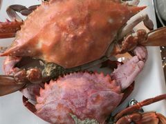 -渔码头食府(蓬莱阁店)