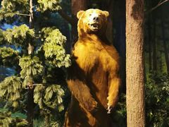 -陕西自然博物馆