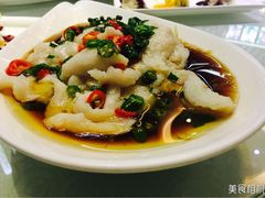 鲜椒鱼片-蓬川食府(金海道店)