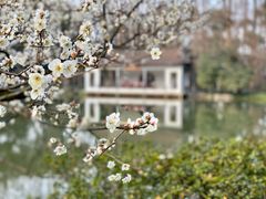 -杭州植物园