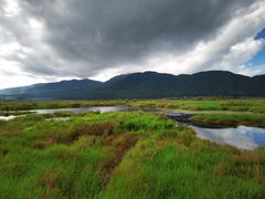 -腾冲北海湿地