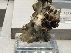 -湖南省地质博物馆