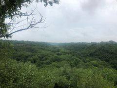 -大青沟风景区