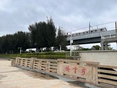 -宝安西湾红树林湿地公园