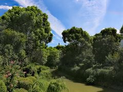 -八大山人梅湖景区