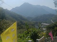 -大岭沟猕猴桃谷风景区