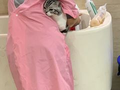 -多卡布奇宠物生活馆(上林世家店)