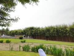 -夏河溪乡野公园