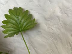 -Laures·月桂西班牙碳烤餐厅(十尚坊店)