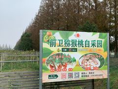 -上海长兴岛郊野公园