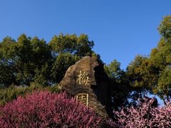 -无锡梅园公园