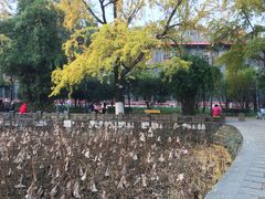 -四川大学(华西校区)