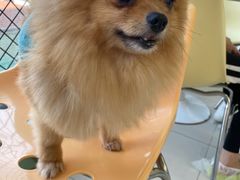 -怪兽屋·羊驼·猫咖·狗咖(俊华广场店)