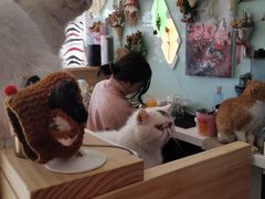 -平行世界·猫咖(首经贸店)