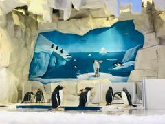 -华夏文旅海洋公园