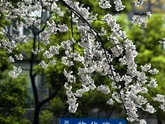 -玛格萝妮比萨屋(四平店)