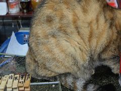 -协和菜馆(凤凰街店)