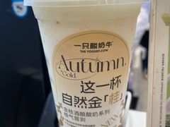 -一只酸奶牛(春熙路店)