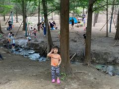 -白水寺森林公园