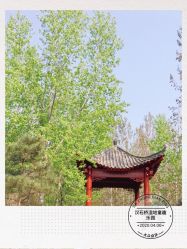 -汉石桥湿地童趣乐园