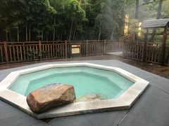 -天目湖涵田半山温泉