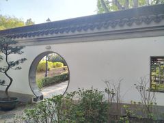 -九龙寨城公园
