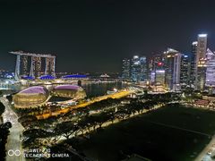 -新加坡瑞士史丹福酒店