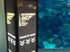 -迪拜水族馆及水下动物园