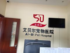 -艾贝尔宠物医院 ·内科全科(梁溪路店)