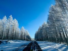 -塞罕坝国家级自然保护区